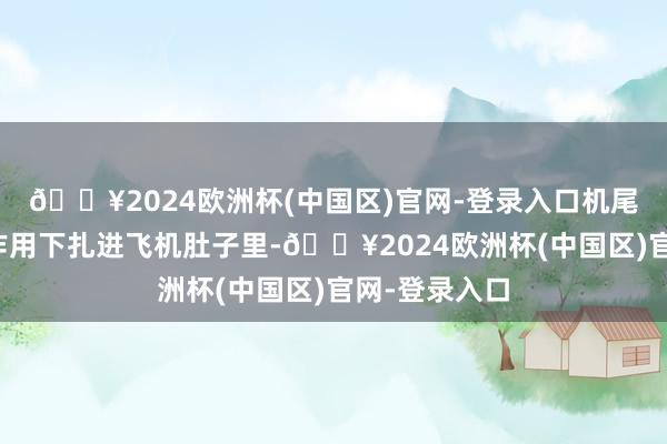 🔥2024欧洲杯(中国区)官网-登录入口机尾细目在惯性作用下扎进飞机肚子里-🔥2024欧洲杯(中国区)官网-登录入口