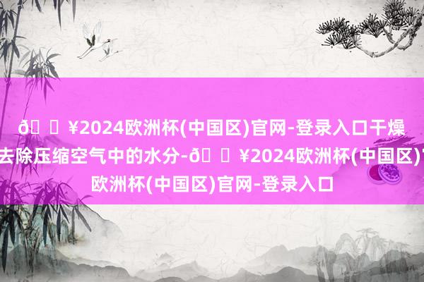 🔥2024欧洲杯(中国区)官网-登录入口干燥机的作用在于去除压缩空气中的水分-🔥2024欧洲杯(中国区)官网-登录入口