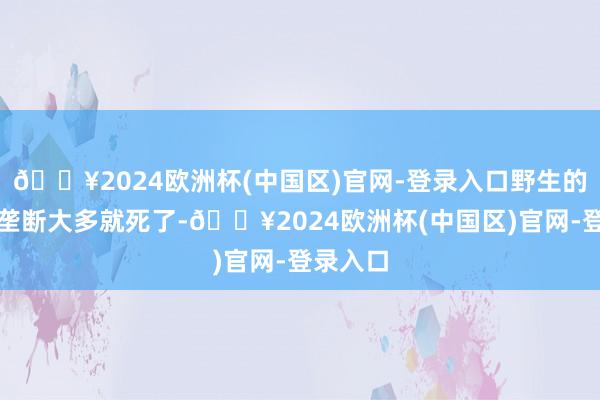 🔥2024欧洲杯(中国区)官网-登录入口野生的没东谈垄断大多就死了-🔥2024欧洲杯(中国区)官网-登录入口